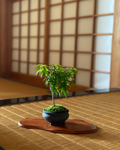 出店イメージ2