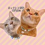 猫のネックレス首輪
