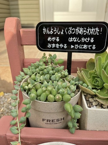 出店イメージ2