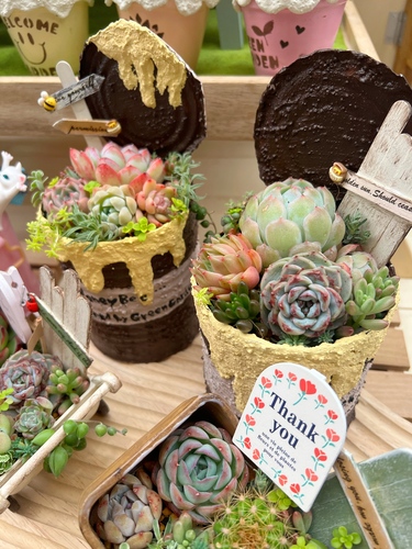 出店イメージ2