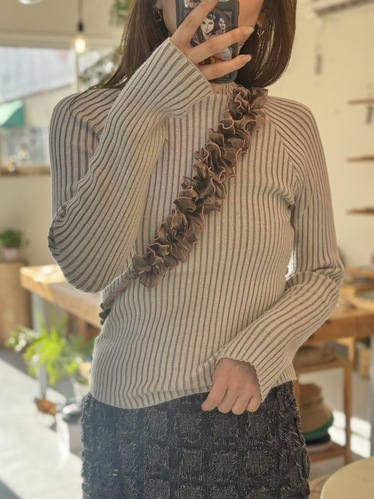 出店イメージ1