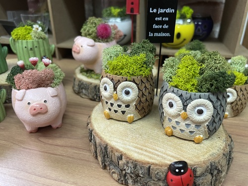 出店イメージ2